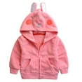 thumbnail image 1 of Baby Girls Boys 𝐅𝐥eece Hooded Jacket Zip Up Panda Coat Winter Warm Cute Animal Jackets Toddler Kids Outerwear, 1 of 2