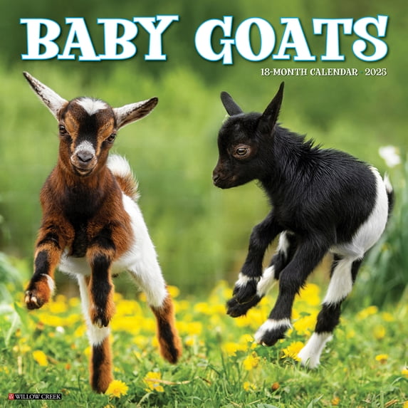 Goat Resin Baby Goats 2026 12 X 12 Wall Calendar, (Hardcover) - Walmart.com