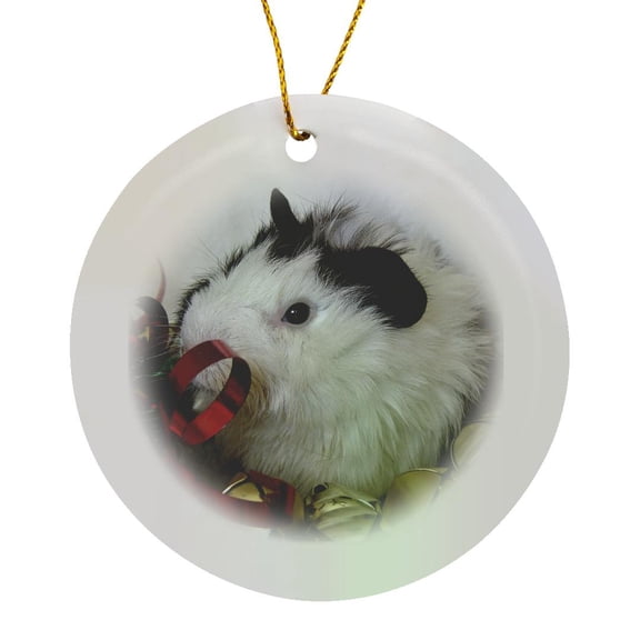 3drose, Baby Guinea Pig 2 with Gold Bells Photography by Angelandspot, Circle Porcelain Ornament