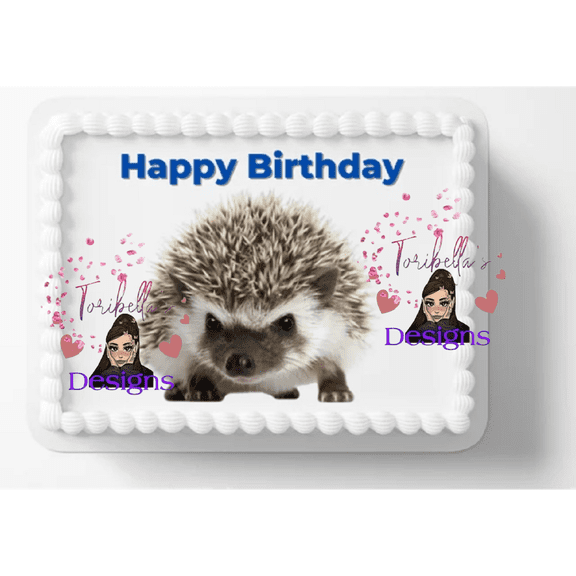 Baby Hedgehog Edible Custom Cake Topper Cake Topper Edible Image Birthday Cake Edible Cake Sticker Decal Will Fit 1/4 to 1/2 Sheet Cake