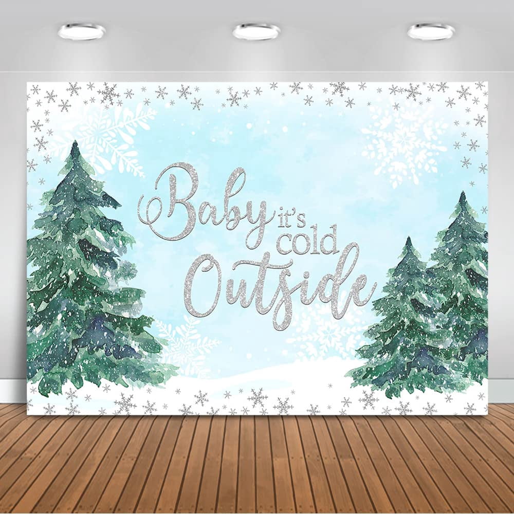 Baby It's Cold Outside Backdrop Winter Blue Silver Snowflakes Boy Baby ...
