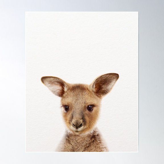 Baby Kangaroo, Baby Animals Art Print By Synplus Poster Wall Art, Modern Wall Decor For Living Room Bedroom, 16x24 UNFRAMED