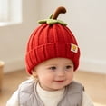 thumbnail image 1 of Baby Knit Beanie Winter Warm Infant Beanie with Stem Design for Toddlers Boys Girls Cold Weather, 1 of 4