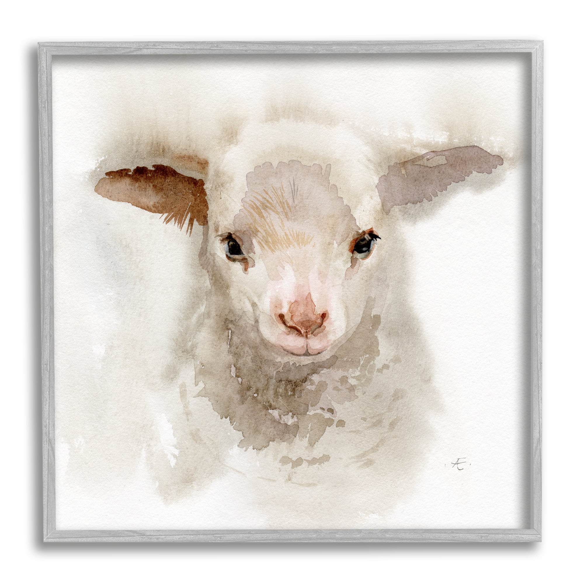 Baby Lamb Farm Portrait Minimal Shaggy Animal Animals & Insects Framed Art Print Wall Art, 17x17