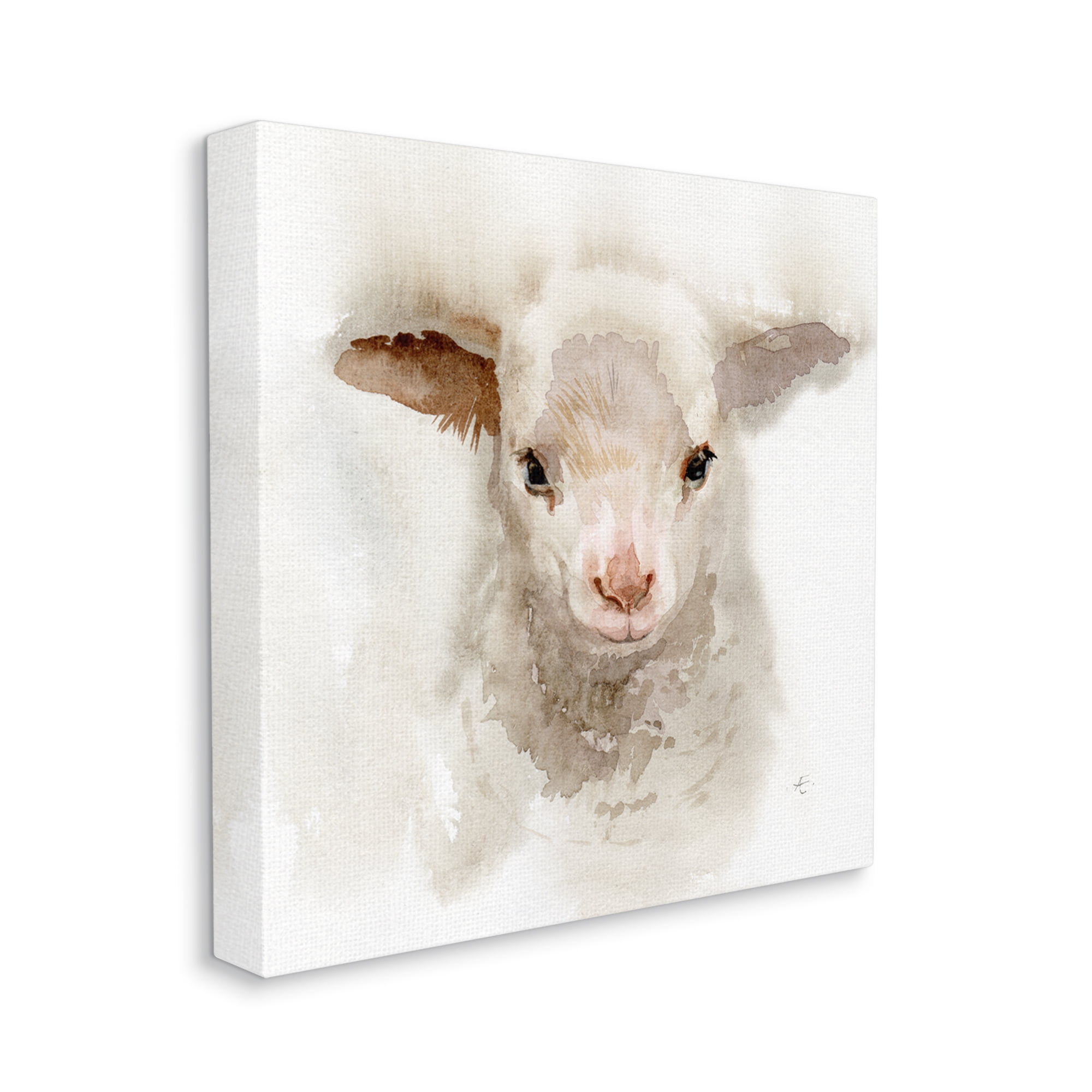 Baby Lamb Farm Portrait Minimal Shaggy Animal Animals & Insects Gallery-Wrapped Canvas Print Wall Art, 17x17