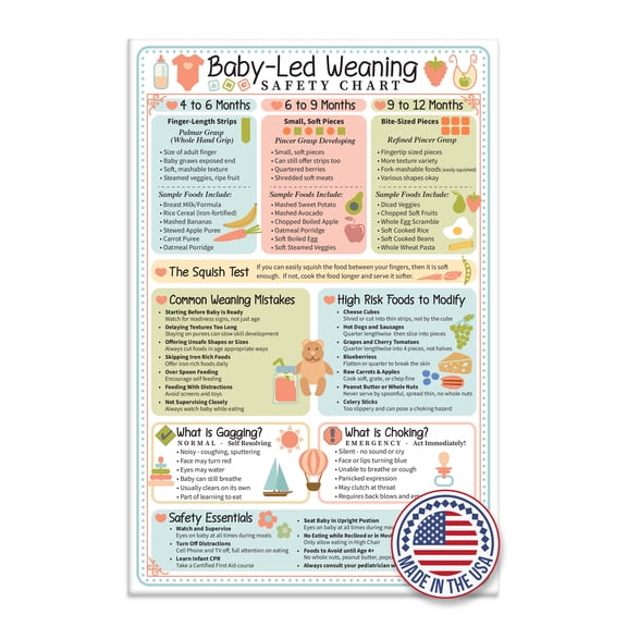 Baby Led Weaning Safety Chart Magnet 6x9 Baby Feeding Guide by Age 4 to 12 Months Finger Food Sizes and Textures Choking vs Gagging Reference Laminated Refrigerator Magnet Kitchen Feeding Chart