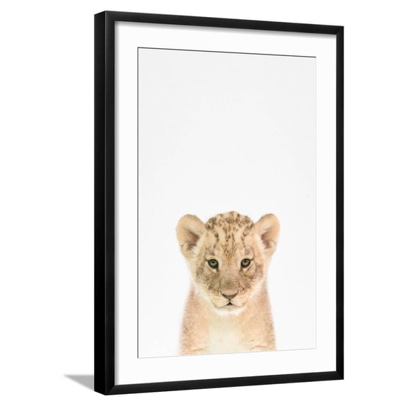 Baby Lion Framed Art Print by Tai Prints, 16" x 24", Sold by Art.com