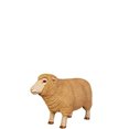 thumbnail image 1 of Baby Merino Ewe Life Size Statue, 1 of 8