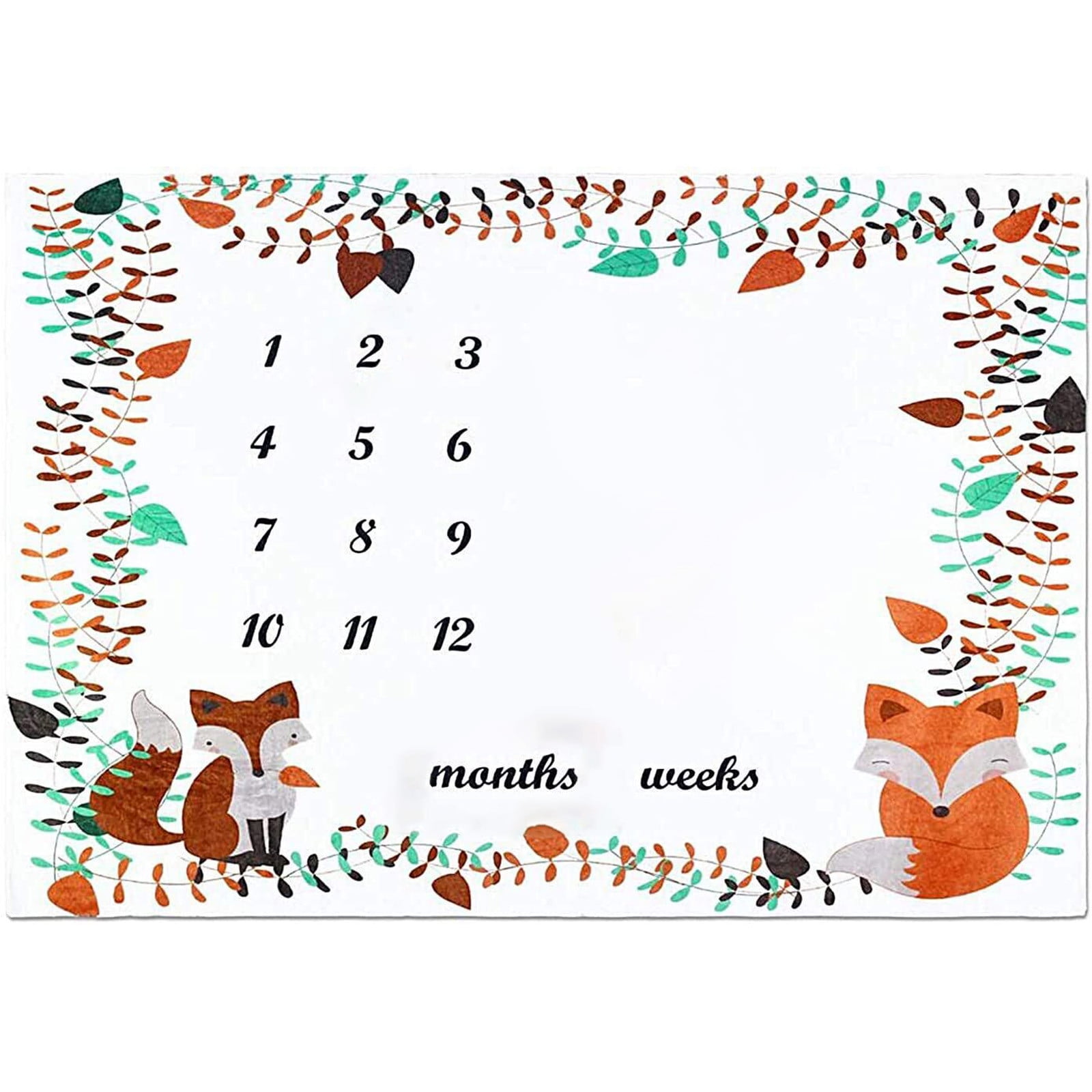 Baby Milestones Blanket Boys and Girls Weekly Monthly Milestones