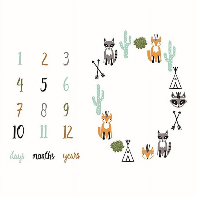 Baby Monthly Milestone Blanket Boy or Girl Months Blanket Growth