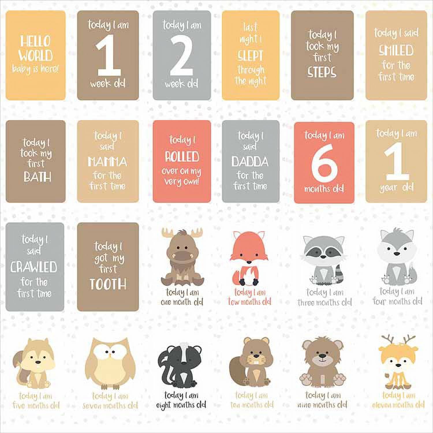 Baby Monthly Milestone Cards Birth to 12 Months Photo Moment Cards ...