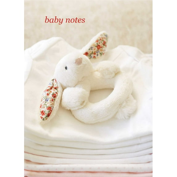 Baby Notes (Record book)