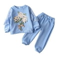 Baby Outfits Girl Spring Autumn Round Neck Long Sleeve Embroide Floral