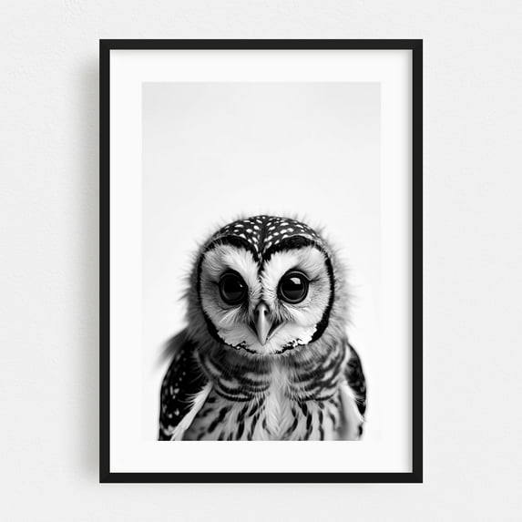 Baby Ow - Photography Black and White Wildlife Animal Bird Nature Portrait Black Framed Wall Art Print 5 x 7 inches