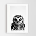 thumbnail image 1 of Baby Ow - Photography Black and White Wildlife Animal Bird Nature Portrait White Framed Wall Art Print 12 x 18 inches, 1 of 1