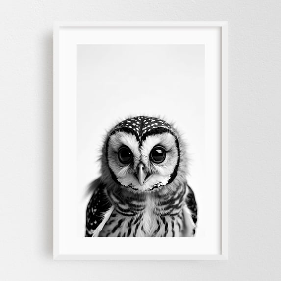 Baby Ow - Photography Black and White Wildlife Animal Bird Nature Portrait White Framed Wall Art Print 12 x 18 inches