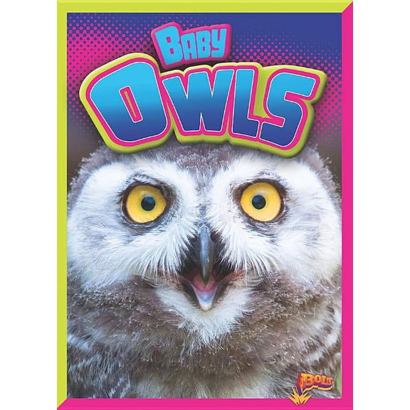 Adorable Animals: Baby Owls (Paperback)