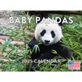 Baby Panda Calendar 2025 Monthly Wall Calender 12 Month Made In The