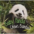 thumbnail image 1 of Pre-Owned Baby Panda Chews Bamboo (Hardcover) 1454927402 9781454927402, 1 of 1