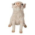thumbnail image 1 of Baby Pig Sitting - Pink, 1 of 5