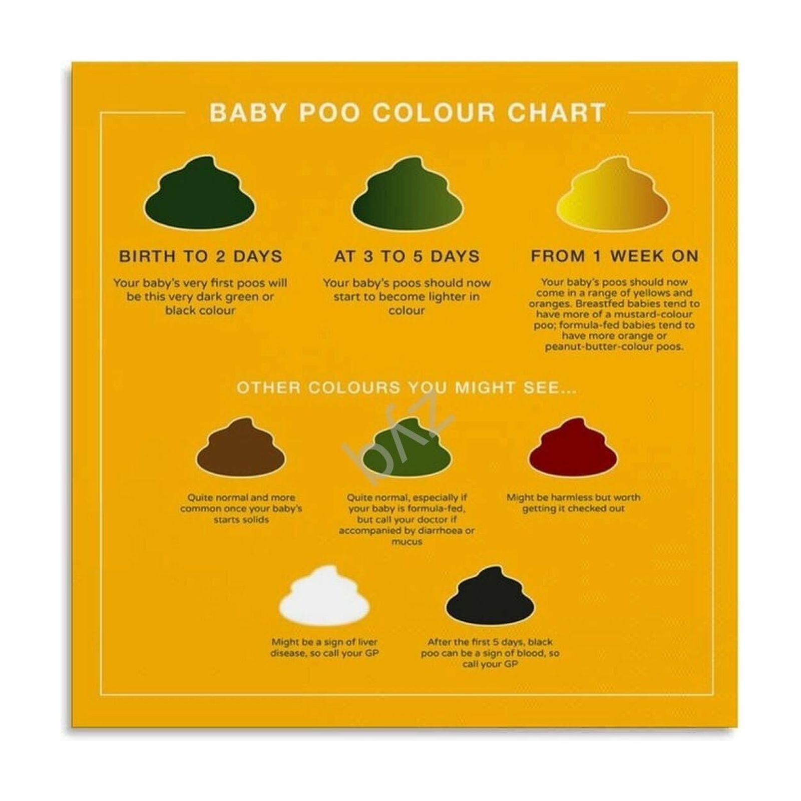 Baby Poop Chart Poster Deciphering Your Infant s Poop Colors 3 Canvas 