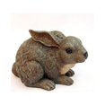 thumbnail image 1 of Baby Rabbit, 1 of 2