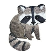 Baby Raccoon - Childrens Animal - Iron on Applique/Embroidered Patch