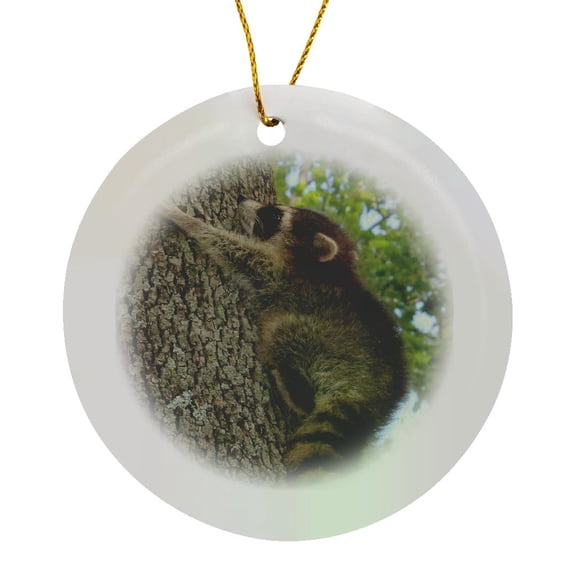 3drose, Baby Raccoon Climbing Tree, Circle Porcelain Ornament