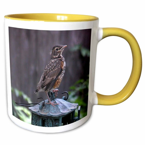 3drose, Baby Robin on a Feeders, 15oz Two-tone Yellow Mug