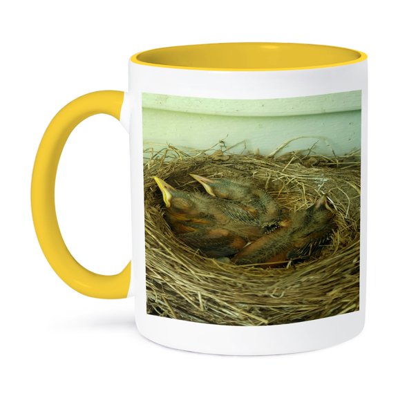 3dRose, Baby Robins Hatched Birds Nest, 11oz Two-Tone Yellow Mug