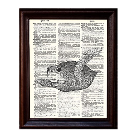 Baby Sea Turtle - Dictionary Art Print Printed On Authentic Vintage Dictionary Book Page - 8 x 10.5