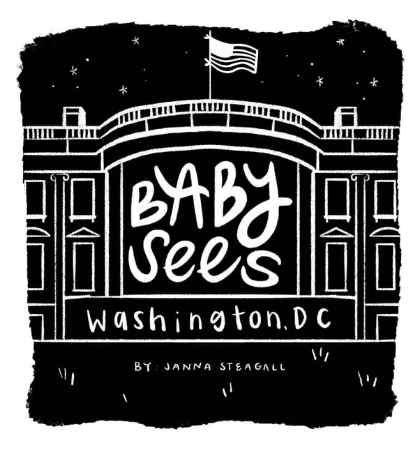 Baby Sees Baby Sees Washington, DC: A High-Contrast Board Book for Babies, (Board Book)