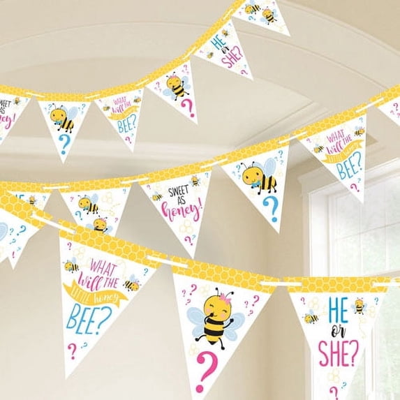 Baby Shower 'What Will it Bee?' Pennant Banner Kit (15ft)