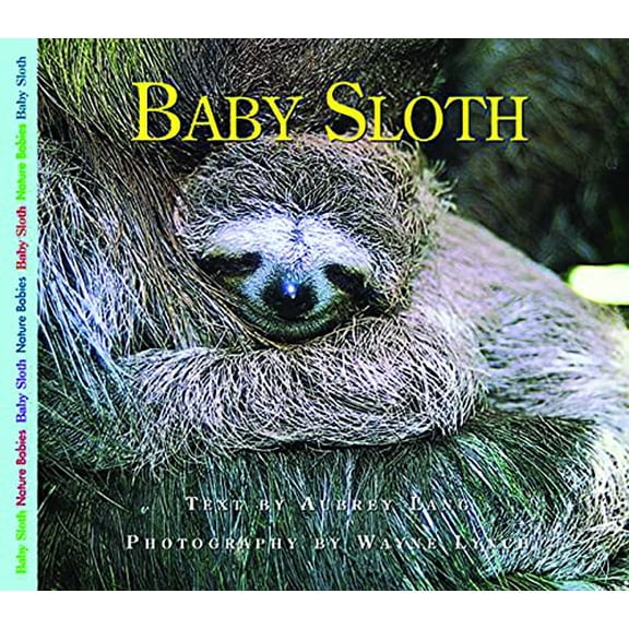 Pre-Owned Baby Sloth (Paperback) 1550418270 9781550418279