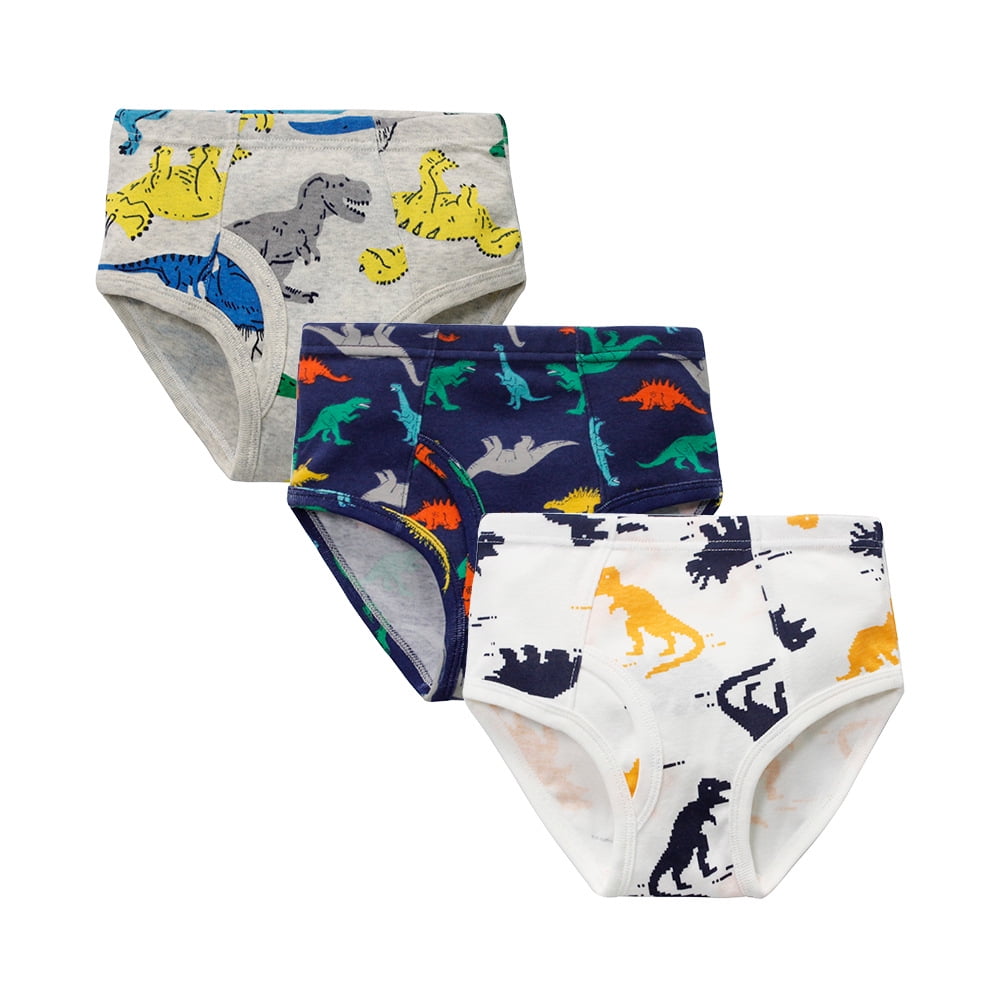Baby Soft Cotton Underwear Little Boys Dinosaur Briefs Toddler Shark Undies  Children Truck Panties(Pack of 3) 