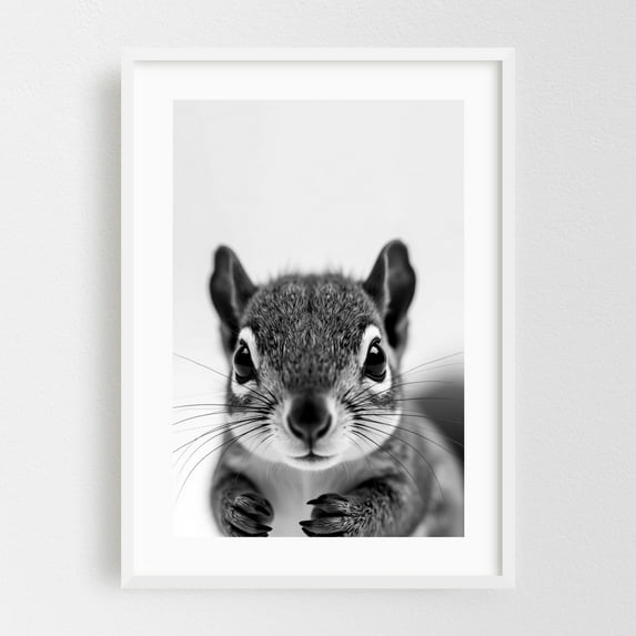 Baby Squirrel - Photography Animal Wildlife Black and White Nature Portrait Minimalist Woodland White Framed Wall Art Print 24 x 36 inches