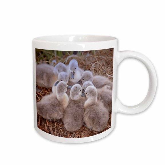 3drose, Baby Swans., 11oz Mug