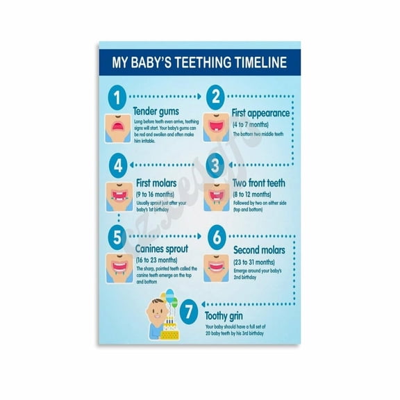 Baby Teething Timeline Poster Infant Tooth Developmen Milestones Wall Art Canvas for Bedroom Living Room Decor