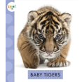thumbnail image 1 of Baby Tigers, 1 of 1