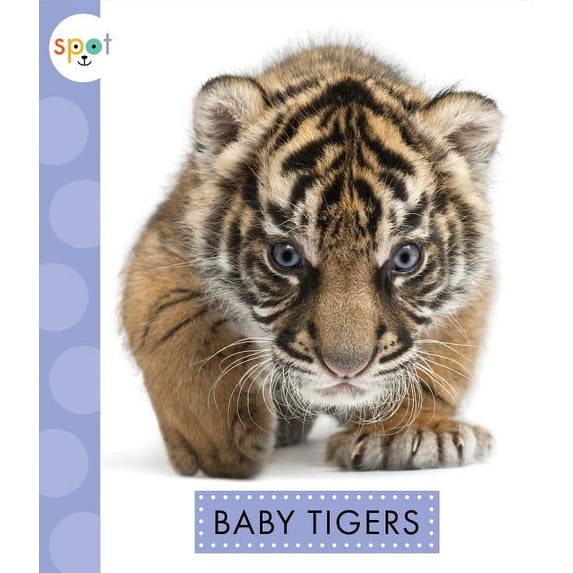Baby Tigers