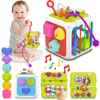 Baby Sensory Bin Shape Sorter Toys Sensory Toys for Autistic Children Developmental Stem Toys Baby Toys 9 10 12-18 Months Birthday Gift for 1 Year Old