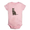 thumbnail image 1 of Baby Unisex Could I any Cuter Funny Rompers Newborn Baby Bodysuits Infant Jumpsuits Kids Cotton Animal Cat Graphic One-Piece Outfits, 1 of 5