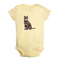 thumbnail image 1 of Baby Unisex Could I any Cuter Funny Rompers Newborn Baby Bodysuits Infant Jumpsuits Kids Cotton Animal Cat Graphic One-Piece Outfits, 1 of 5