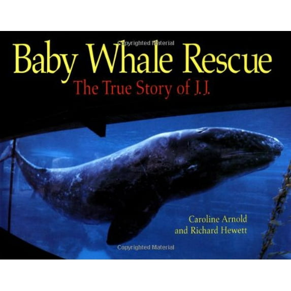 Pre-Owned Baby Whale Rescue: The True Story of J.J. (Hardcover) 0816749612 9780816749614