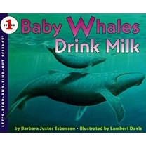 Pre-Owned Baby Whales Drink Milk (Paperback) 0064451194 9780064451192