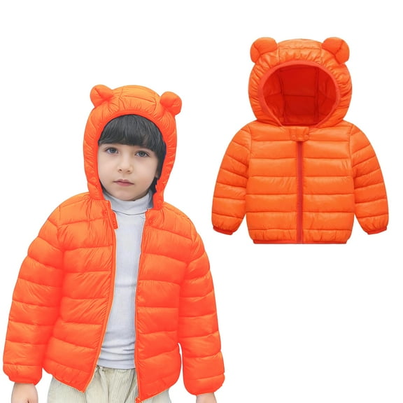 Baby Winter Coat for Girls Boys Puffer Jacket Zipper Long Sleeve Windproof Jacket Outwear Cute Bear Ear Hooded Jackets with Pockets Winter Clothes 6-12 Months