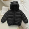 thumbnail image 1 of Baby Winter Coats for Boys Puffer Jacket Kids Zipper Long Sleeve Lightweight Windproof Jacket Outwear Cute Bear Ear Hooded Jackets with Pockets 6-12 Months Boy Outerwear, 1 of 3