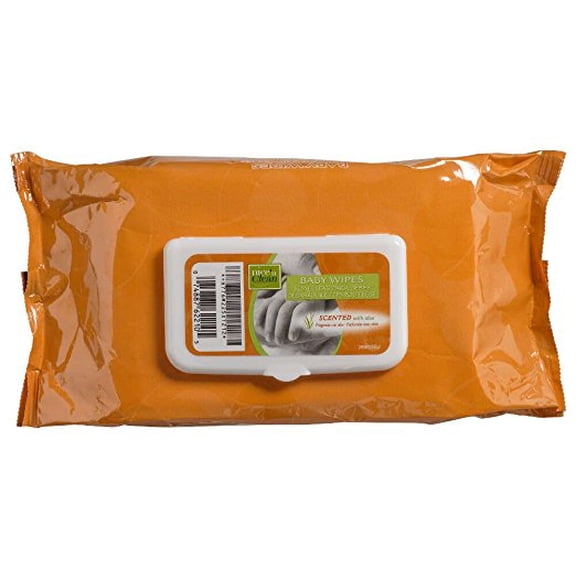 Baby Wipe Nice 'N Clean Soft Pack Aloe