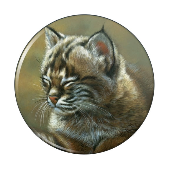 Baby Young Bobcat Kitten Pinback Button Pin