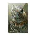 thumbnail image 1 of Baby Young Bobcat Kitten Rectangle Acrylic Fridge Refrigerator Magnet, 1 of 5